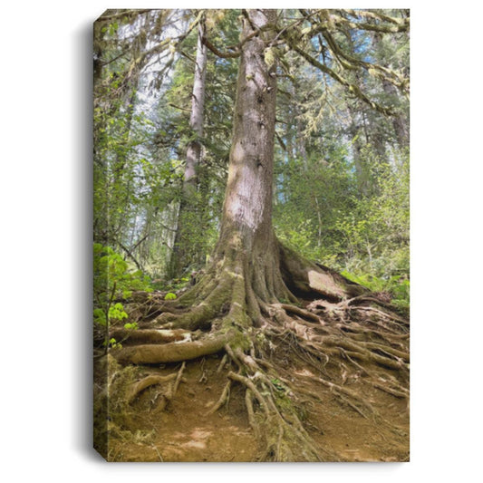 Nature Wall Decor Portrait Canvas .75in Frame